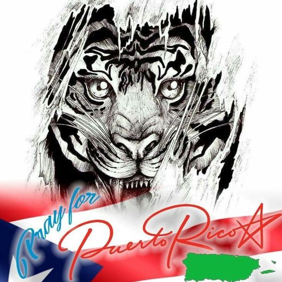 Meet your Posher, Mario - Picture 1 of 1